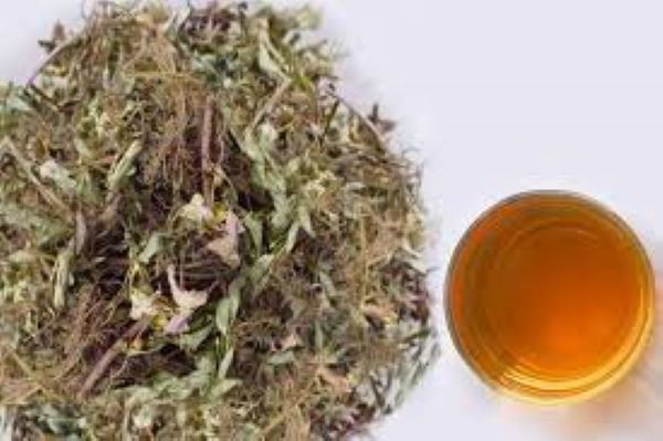 Tác dụng của trà Diệp hạ châu