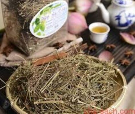 Trà Diệp hạ châu có tác dụng gì?