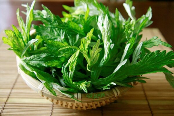 Món ăn từ ngải cứu tốt cho phụ nữ