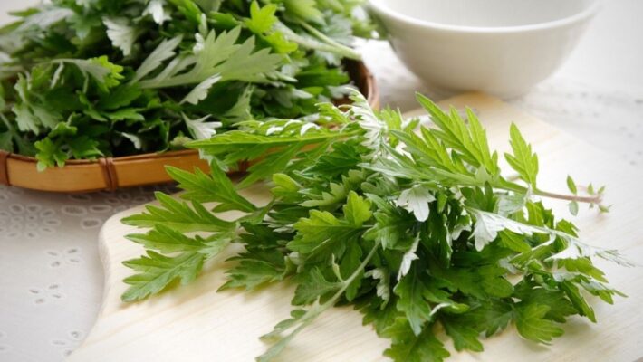 Tác dụng phụ của rau ngải cứu là gì