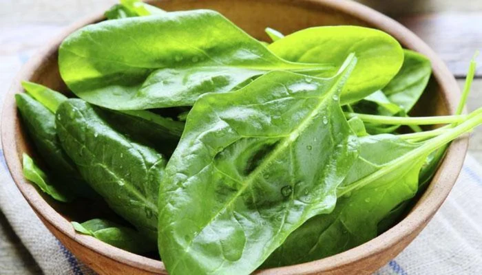 Những lợi ích tuyệt vời từ cải bó xôi