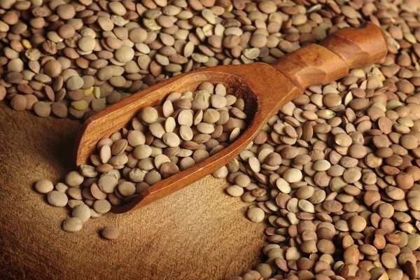 Nguồn đạm thực vật thay thế động vật bạn nên biết