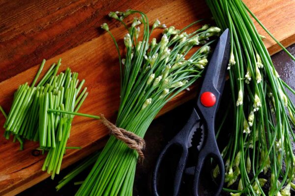 Tìm hiểu lá hẹ trị bệnh gì