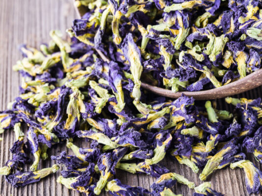 Cách bảo quản hoa đậu biếc đơn giản