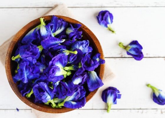 Có nên uống trà hoa đậu biếc mỗi ngày