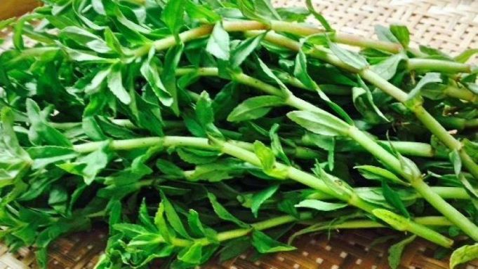 Rau ngổ - món quà của thiên nhiên