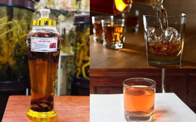 Rượu mú từn có tác dụng gì?