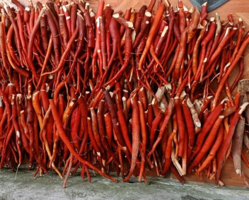 Những điều cần lưu ý khi ngâm rượu thuốc