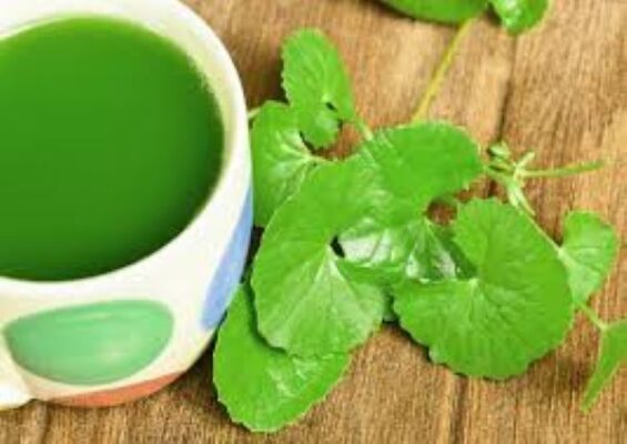 Bột rau má sấy lạnh có tác dụng gì?