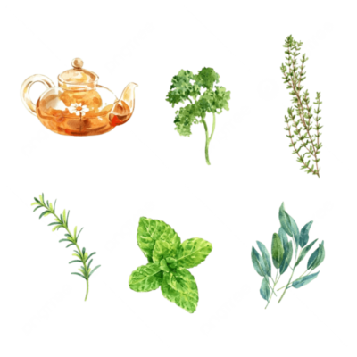 Bài thuốc chữa ho đờm bạn nên biết