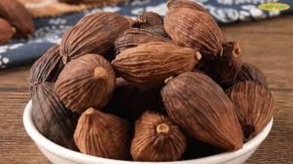 Bài thuốc chữa ngứa họng từ quả kha tử
