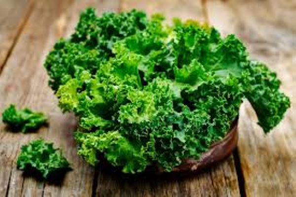 Cải xoăn là gì?