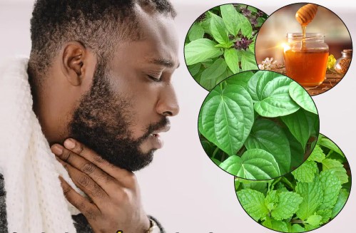 Chữa ho bằng lá trầu không