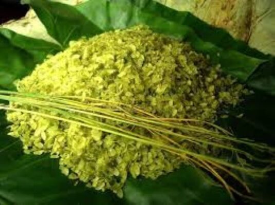 Đặc sản mùa thu Hà Nội