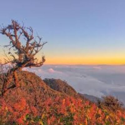 Địa điểm săn mây nhất định không thể bỏ qua