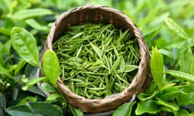 trà xanh