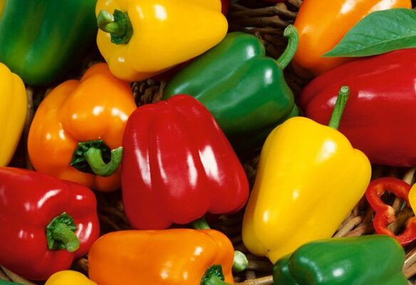 Những đối tượng không nên ăn ớt chuông