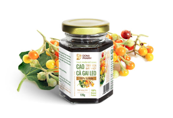 Tác dụng của cao cà gai leo với bệnh gan