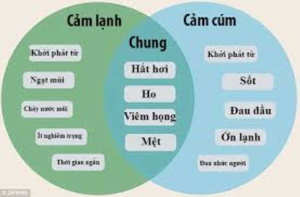 Phân biệt cảm cúm với cảm lạnh