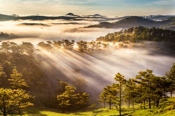 Săn mây Đà Lạt chỗ nào đẹp?