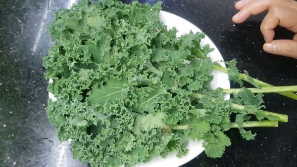 Tác dụng của cải xoăn kale