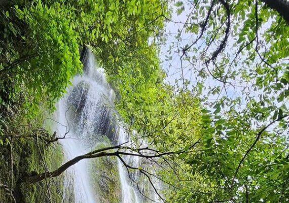 Vẻ đẹp bí ẩn của thác Nậm Lúc giữa đại ngàn