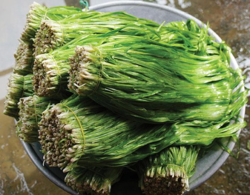 Tự làm thuốc trị ho tại nhà