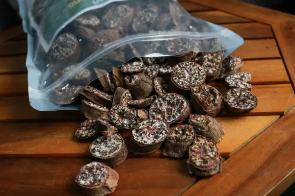 chuối hột rừng