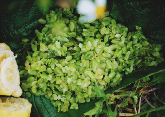 Ngọt ngào hương cốm Tú Lệ