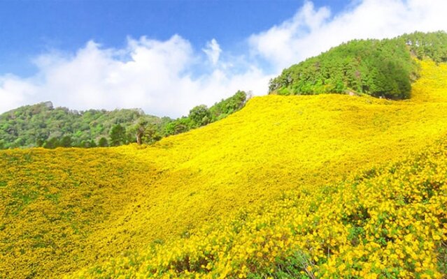 du lịch Đà Lạt tháng 10