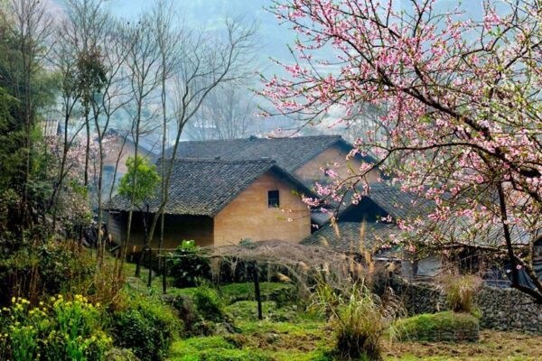 Du lịch Hà Giang mùa nào đẹp nhất?