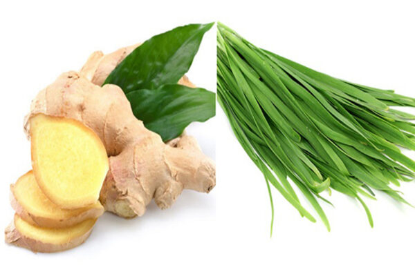 Thuốc dân gian trị ho