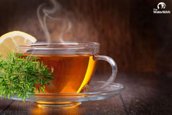 Cách làm nước đinh lăng cho người cao huyết áp