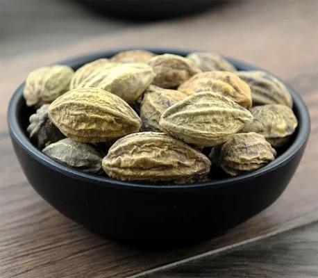 Những bài thuốc hay cùng quả kha tử