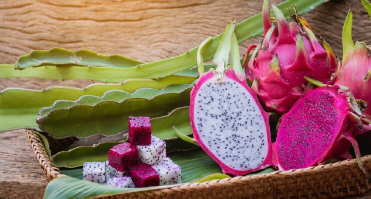 Những công dụng tuyệt vời của quả thanh long