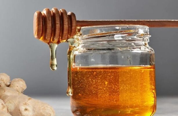 Mật ong rừng có tốt hơn mật ong nuôi không