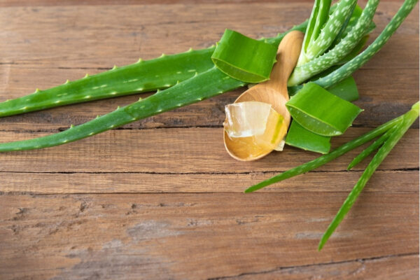 công dụng của lô hội với làn da