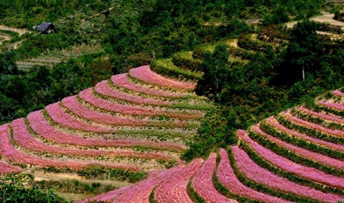 05 địa điểm du lịch Tây Bắc mùa thu