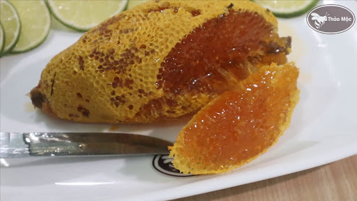 Mật ong ruồi Tây Bắc