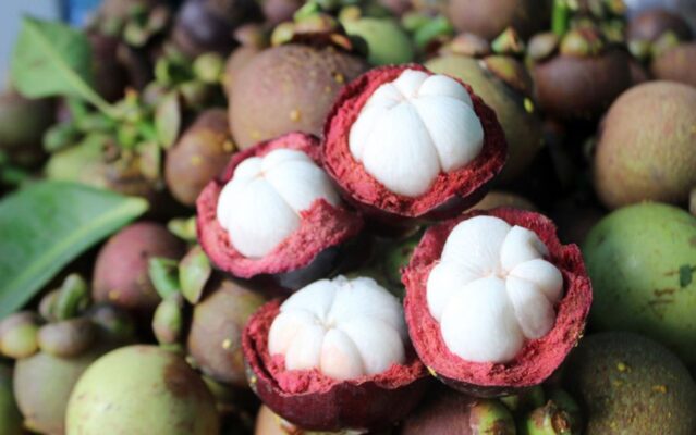 Măng cụt nữ hoàng của trái cây