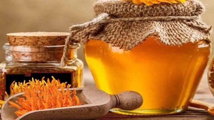 Lợi ích sức khỏe của đông trùng hạ thảo ngâm mật ong
