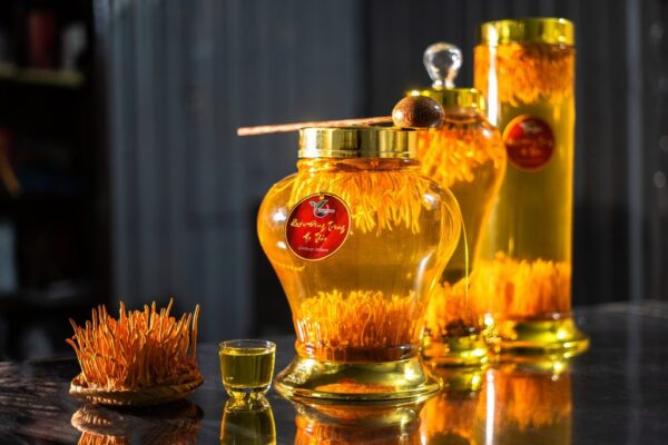 Rượu ngâm đông trùng hạ thảo - 01 bài thuốc quý
