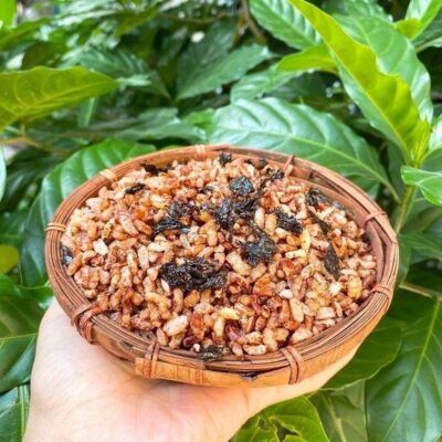 Trà gạo lứt và lợi ích cho sức khỏe Trà gạo lứt và lợi ích cho sức khỏe