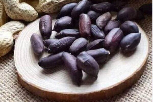 Có nên ăn lạc đen thường xuyên không?