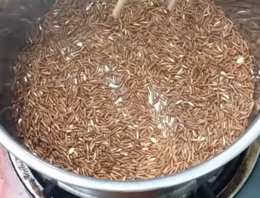 Công dụng của gạo lứt rang