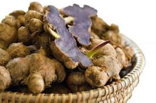 Công dụng của gừng đen