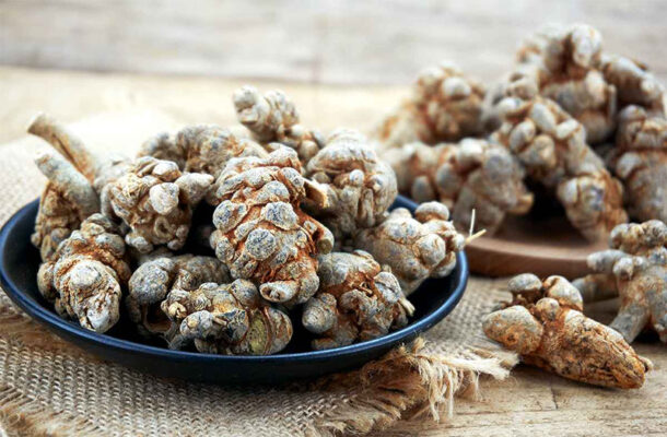 Tam thất mật ong là gì?