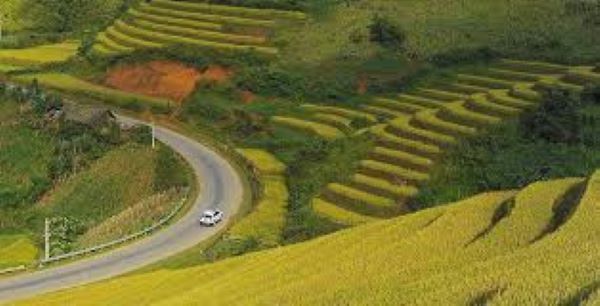 Chiêm ngưỡng vẻ đẹp của tứ đại đỉnh đèo ở Việt Nam