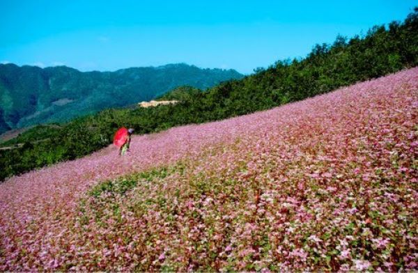 Du lịch thung lũng Sủng Lả
