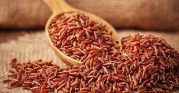 Gạo lứt đỏ có tác dụng gì?